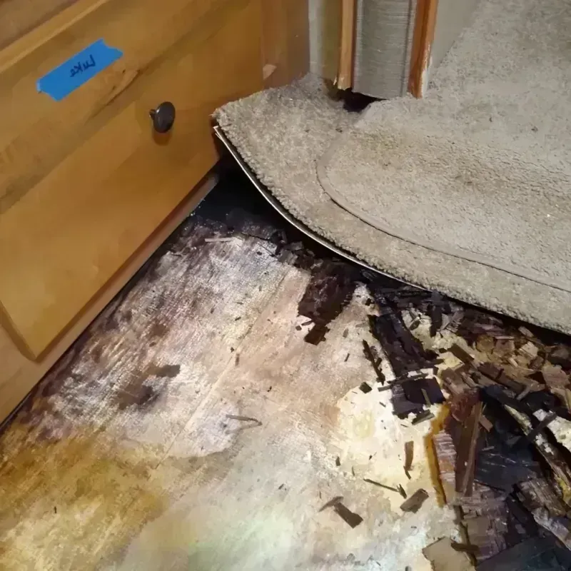 Wood Floor Water Damage in Fern Park, FL